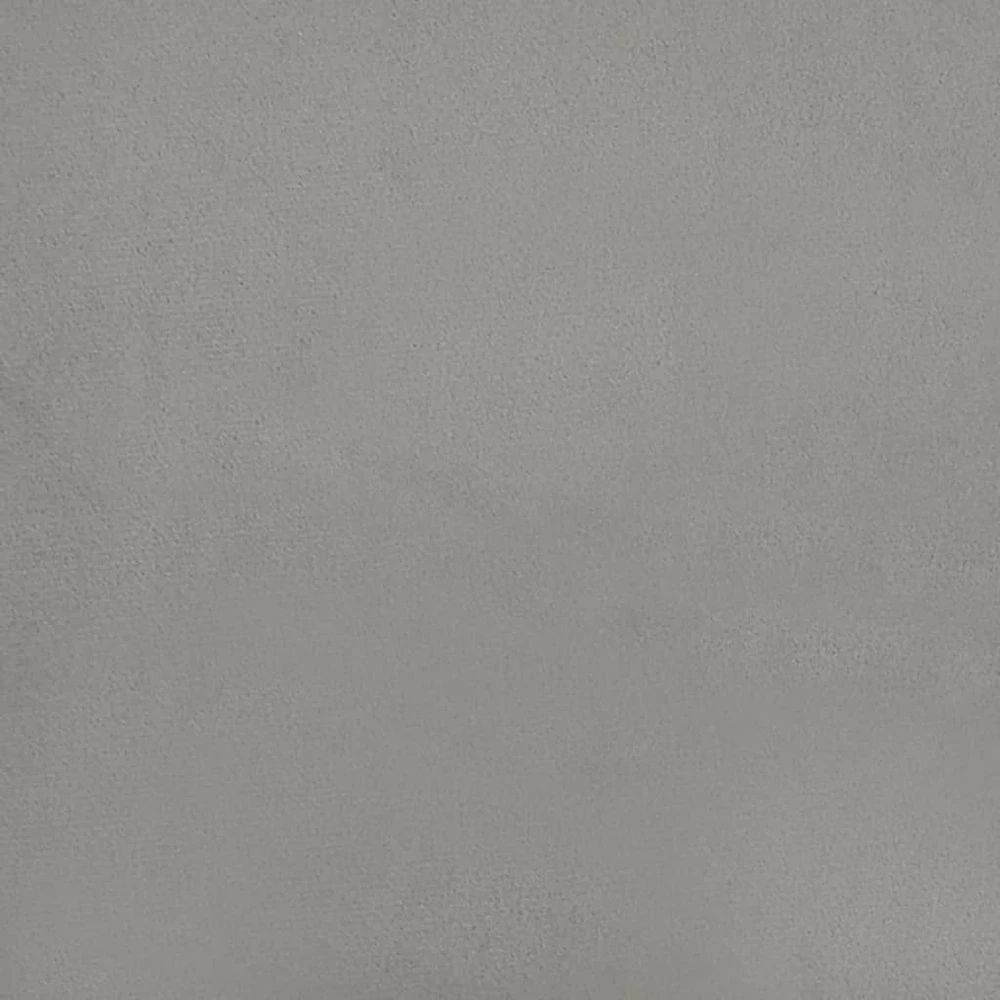 Lovos rėmas be čiužinio, šviesiai pilkas, 160x200cm, aksomas