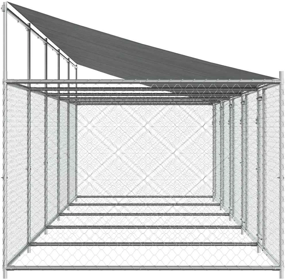 Narvas šunims su stogu ir durimis, pilkas, 10x2x2m, plienas