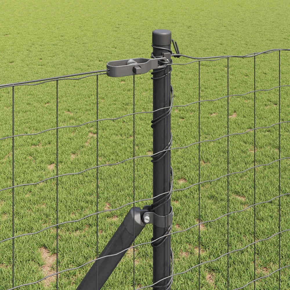 Euro tvoros žemės tvirtinimas 10 x 1 m PVC dengtas plienas