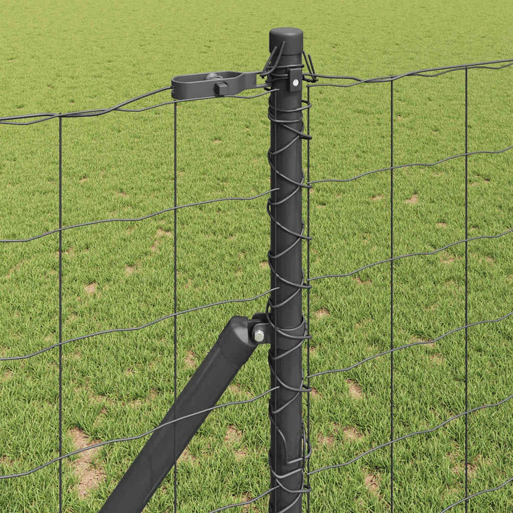 Euro tvoros žemės tvirtinimas 25 x 1 m PVC dengtas plienas