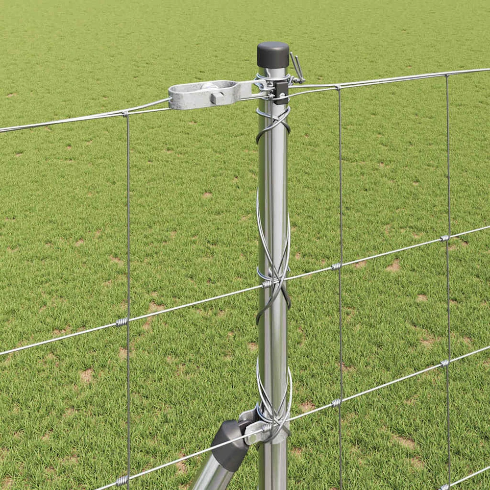 Pagrindo Suvirintas Vielos Tvora 25 x 1,6 m Sidabrinė Tinklelis
