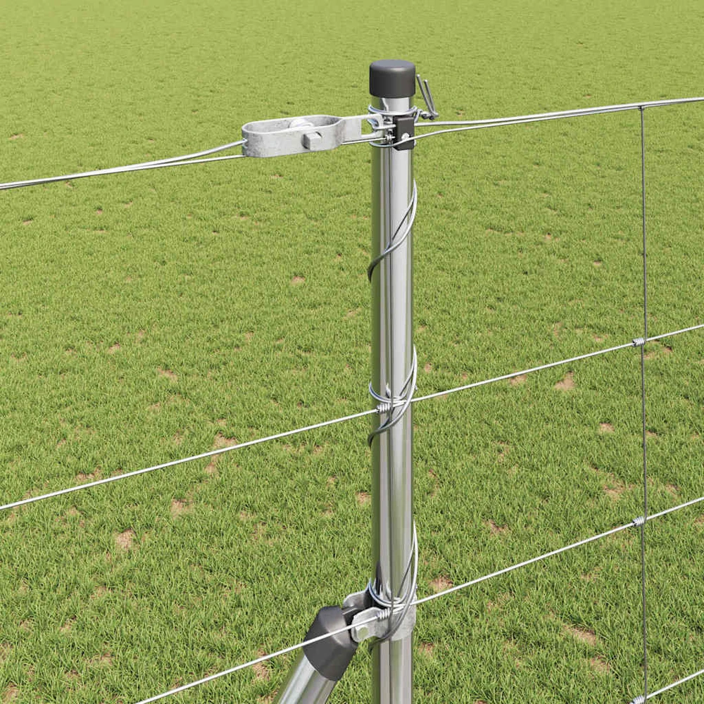Pagrindo Suvirintas Vielos Tvora 25 x 1,6 m Sidabrinė Tinklelis