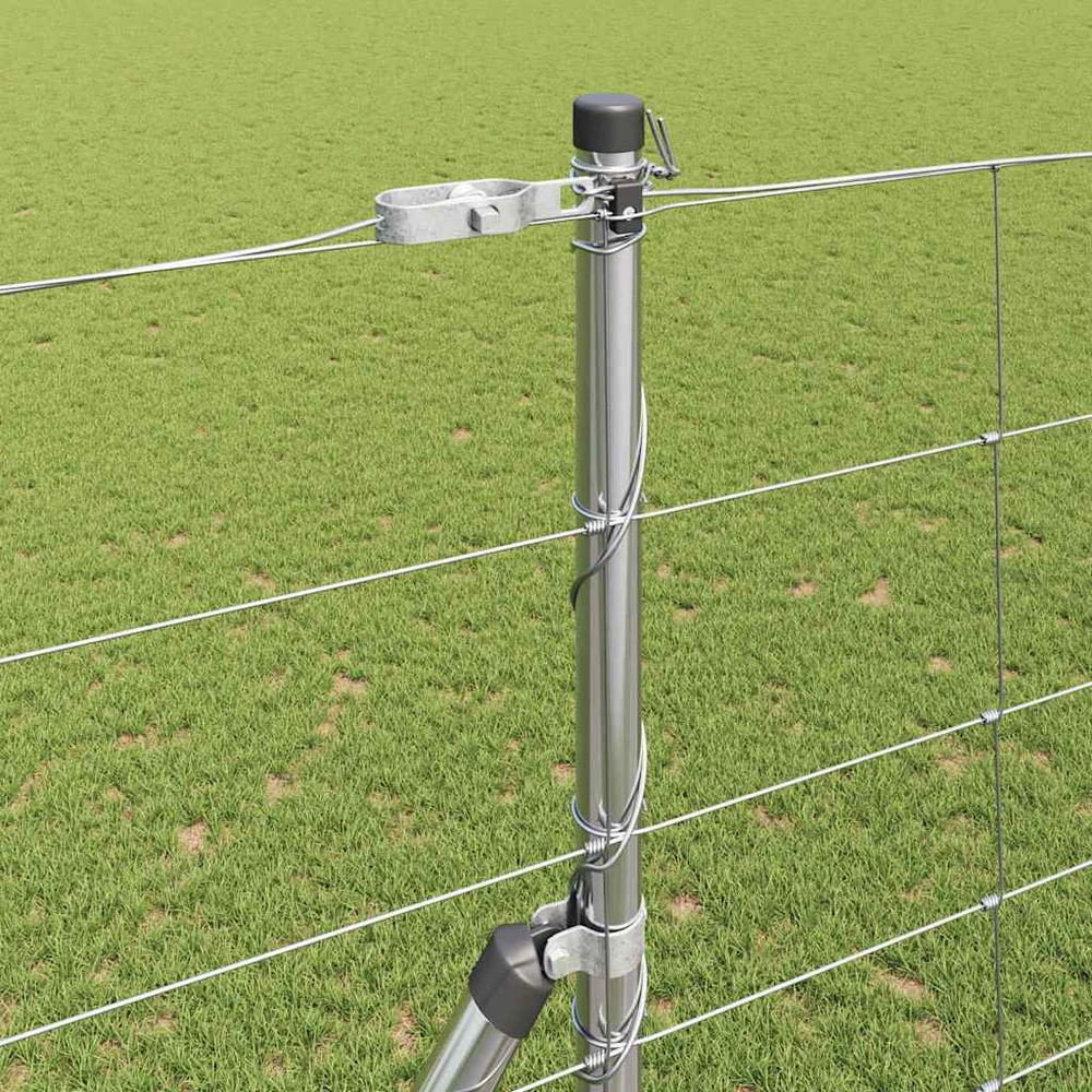 Pagrindo Suvirintas Vielos Tvora 25 x 1,6 m Sidabrinė Tinklelis