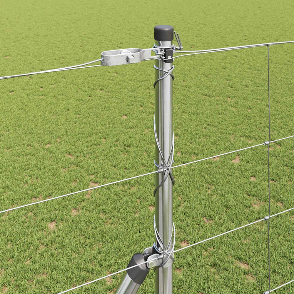 Pagrindo Suvirintas Vielos Tvora 50 x 1,6 m Sidabrinė Tinklelis