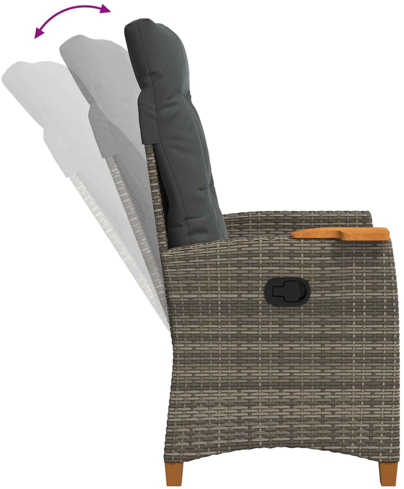 Reguliuojama kėdė su arbatos staliuku poliratanas