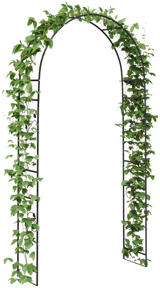 Sodo arka Juoda 115 x 37 x 231 cm