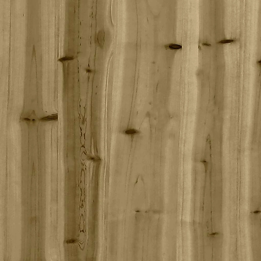 sodo kėdės 2 vnt 60x52,5x72 cm impregnuotos medienos pušis