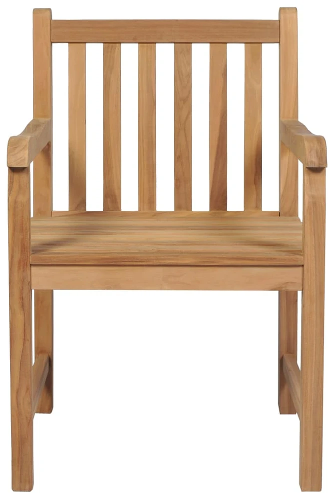 Sodo kėdės su mėlynomis pagalvėlėmis, 2vnt., tikmedžio masyvas