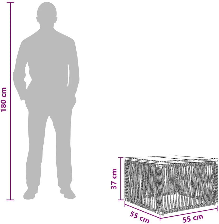 Sodo stalas Pilka ir juoda 55 x 55 x 37 cm PE Rattan ir Stiklas