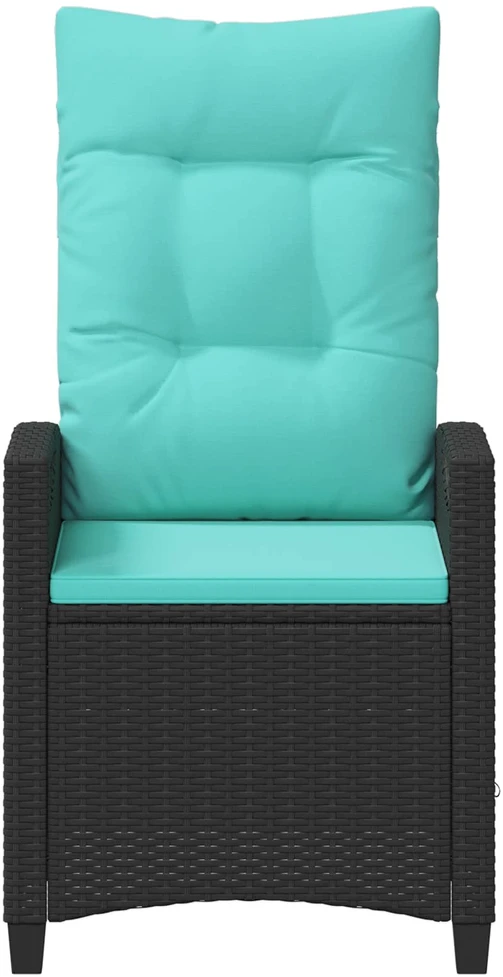 Sulankstoma sodo kėdė 56 x 60 x 112 cm plienas