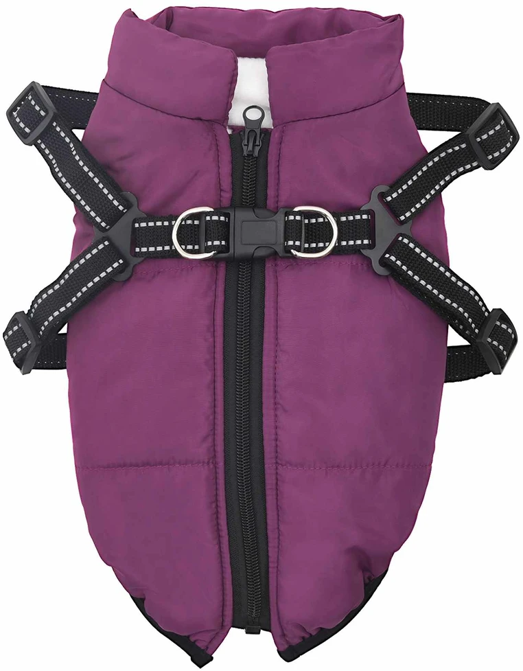 Šuns Kailinis Violetinė L36 Fleece ir poliesteris