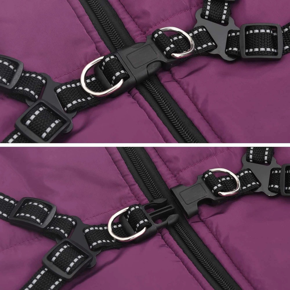 Šuns Kailinis Violetinė L52 Fleece ir poliesteris