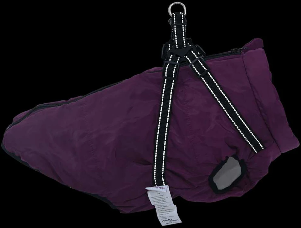Šunų kailis su diržais, atsparus vandeniui, violetinis, 4XL