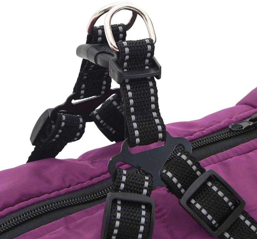 Šunų kailis su diržais, atsparus vandeniui, violetinis, 4XL