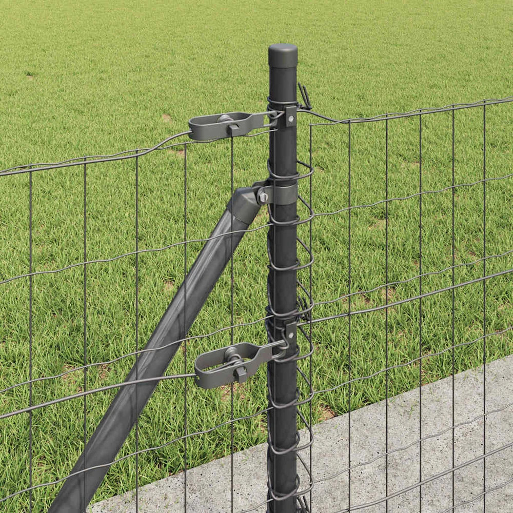 Eurų tvora su betono baze 25 x 0,6 m PVC dengtas plienas Pilka