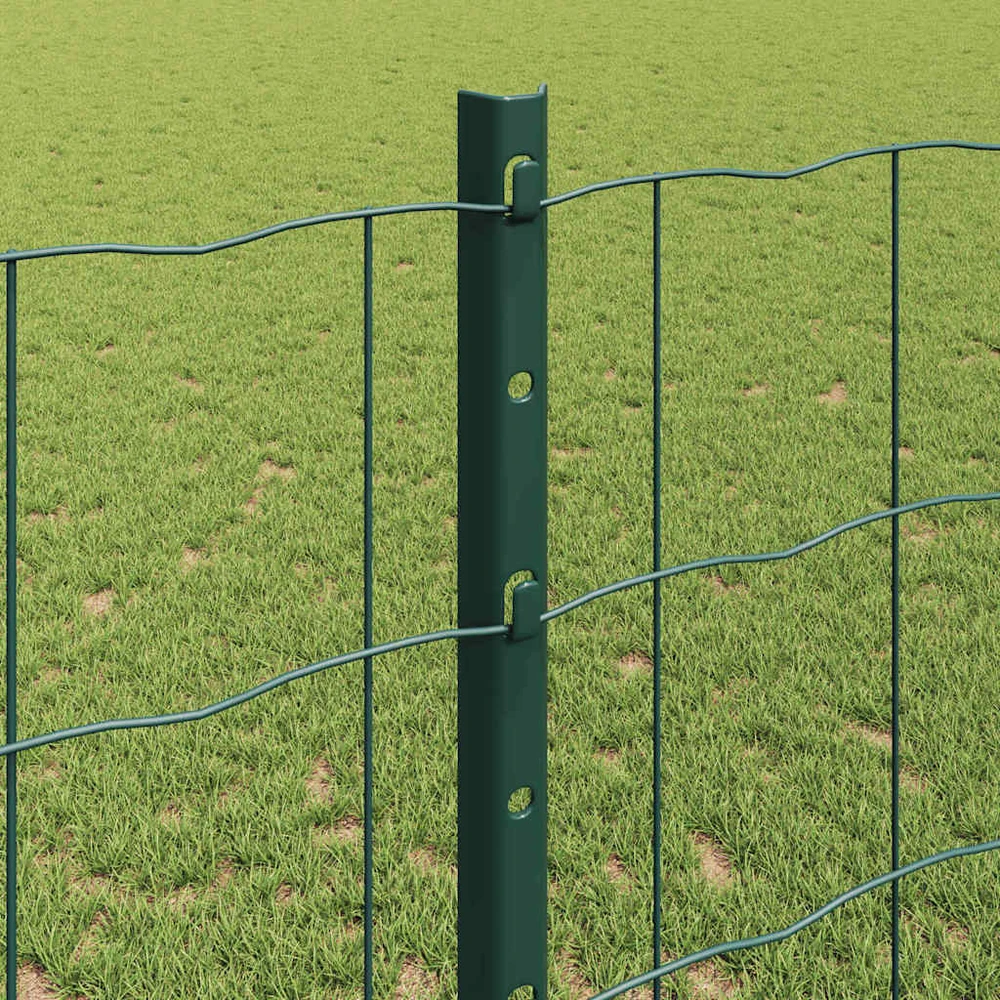 Euro tvoros su stulpu 25 x 1,2 m PVC dengtas plienas Žalia