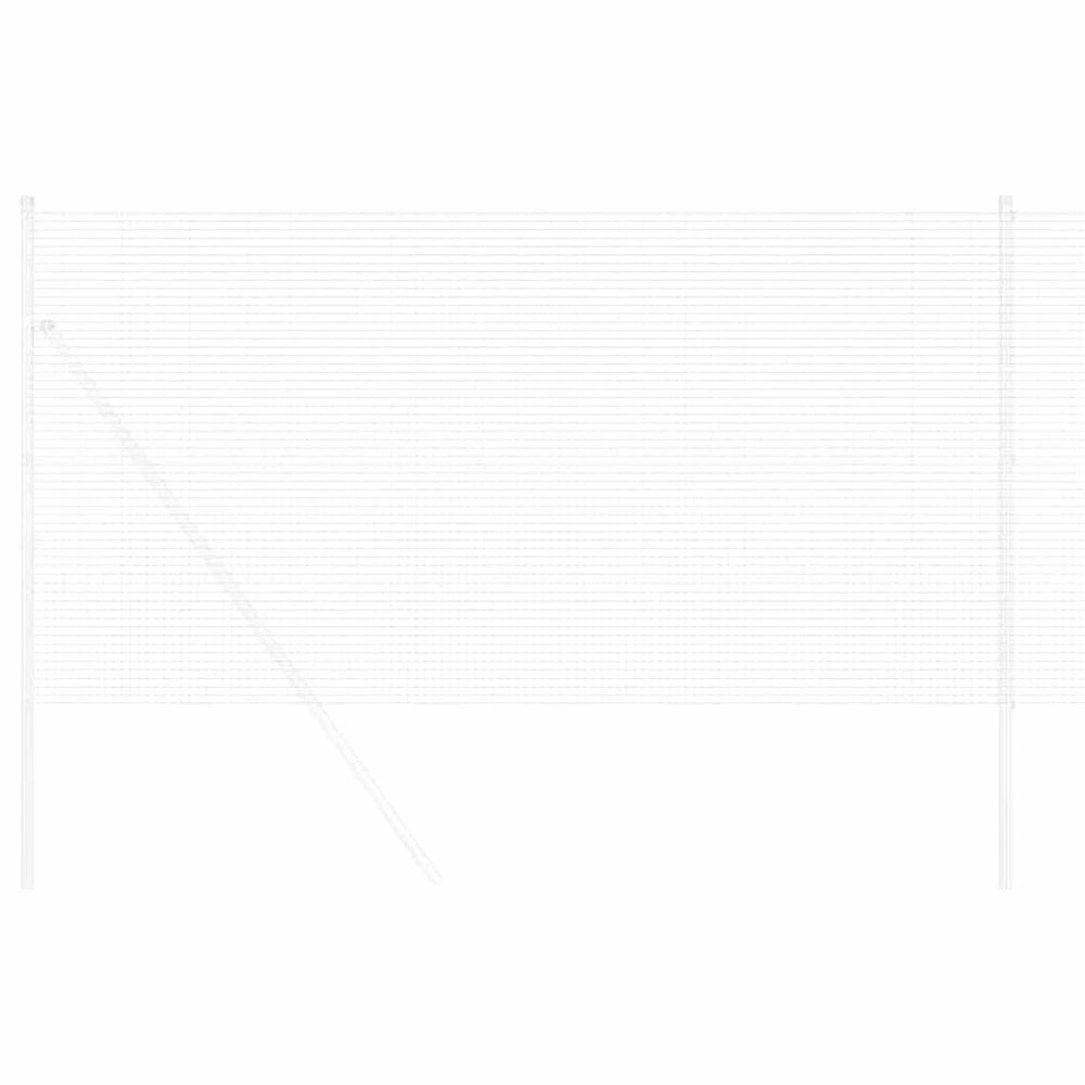 Suvirinto vielos tvoros 1000 x 40 cm Sidabro