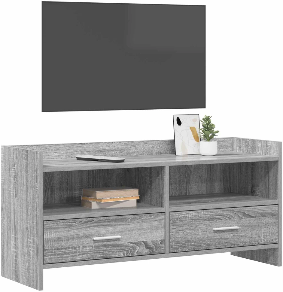 TV staliukas Televizoriaus spintelė 100 x 33 x 47 cm Pilka Sonoma