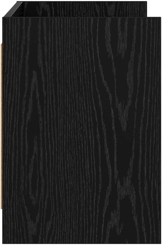 TV staliukas Televizoriaus spintelė 100 x 33 x 47 cm Juodojo ąžuolo
