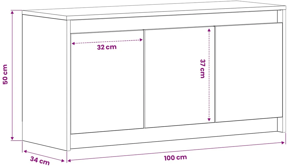 Televizoriaus spintelė 100 x 34 x 50 cm Sendintos medienos