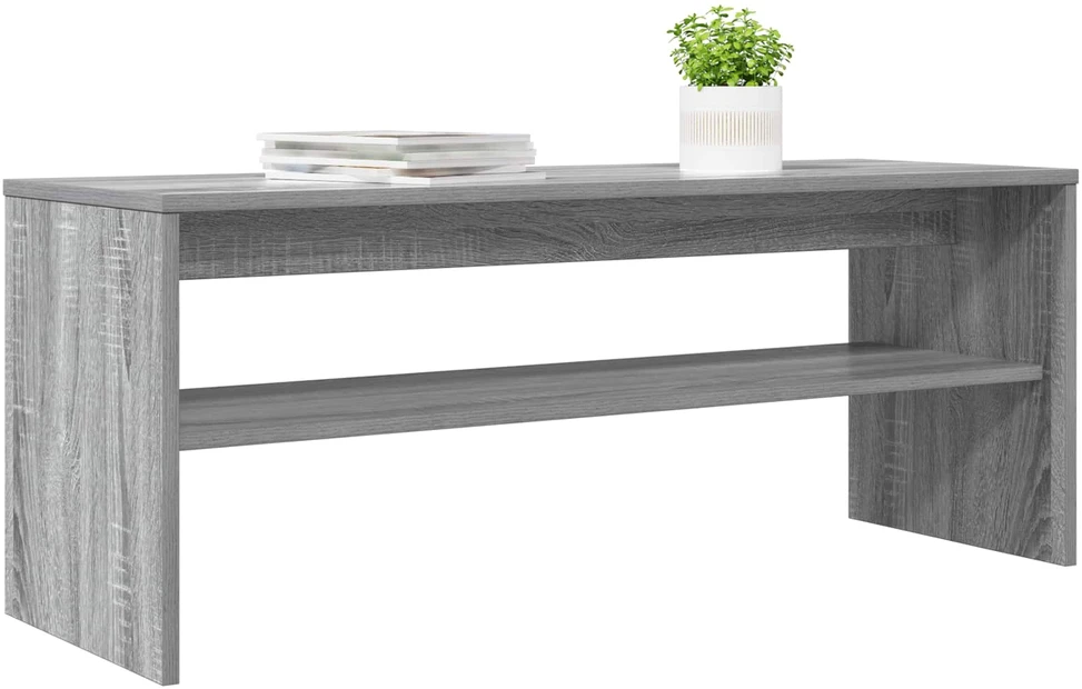 TV staliukas Televizoriaus spintelė 100 x 35 x 40 cm Pilka Sonoma