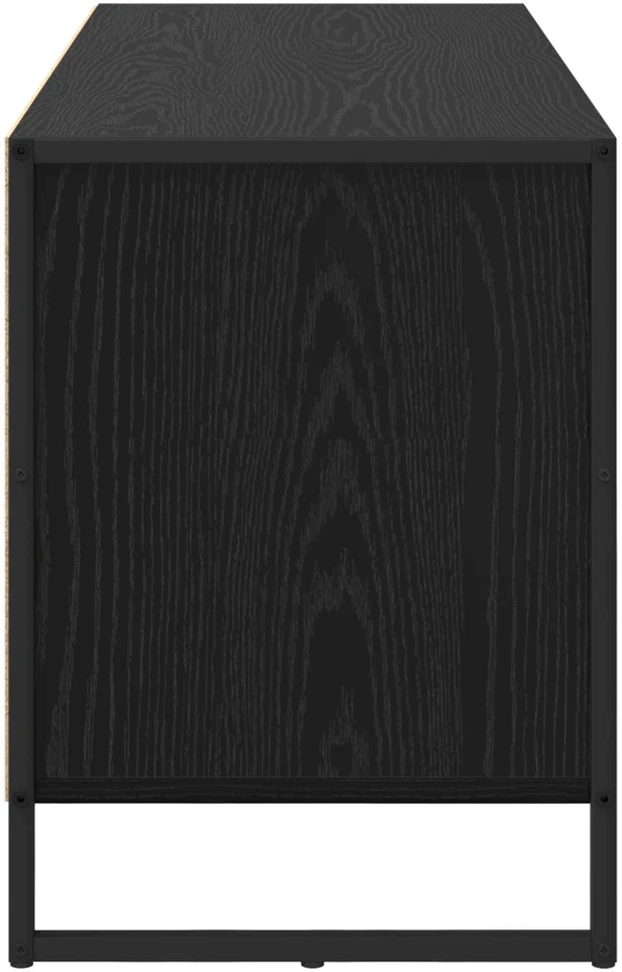 TV staliukas Televizoriaus spintelė 100 x 36 x 49.5 cm Juodas ąžuolas