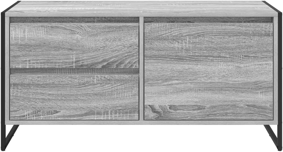 TV staliukas Televizoriaus spintelė 100 x 36 x 49.5 cm Pilkas Sonoma