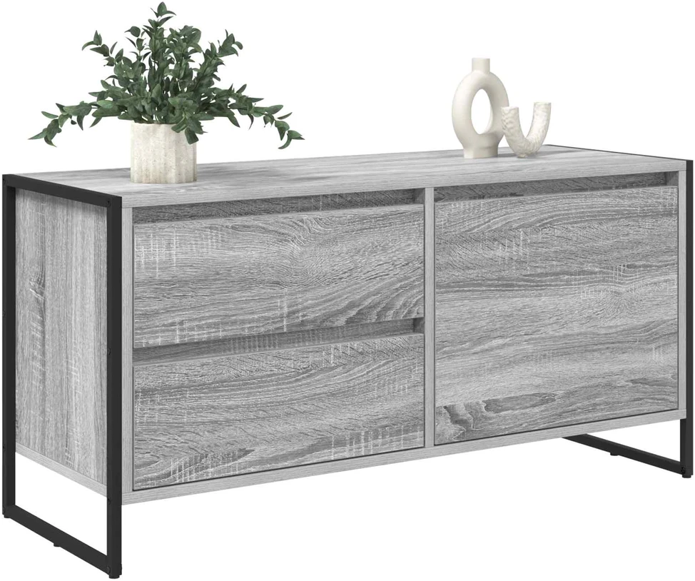 TV staliukas Televizoriaus spintelė 100 x 36 x 49.5 cm Pilkas Sonoma