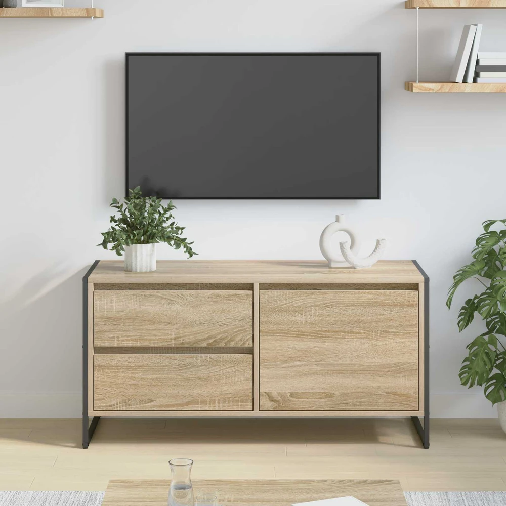 TV staliukas Televizoriaus spintelė 100 x 36 x 49.5 cm Sonoma ąžuolas
