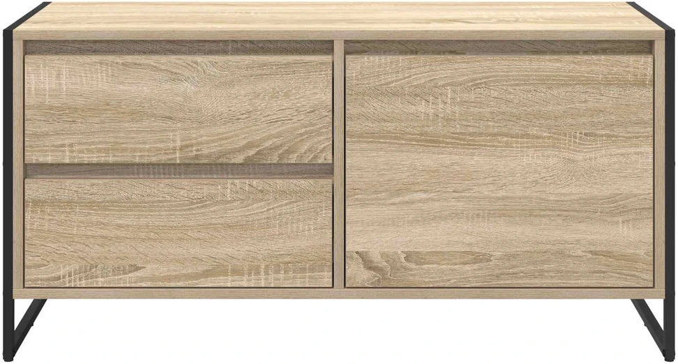 TV staliukas Televizoriaus spintelė 100 x 36 x 49.5 cm Sonoma ąžuolas