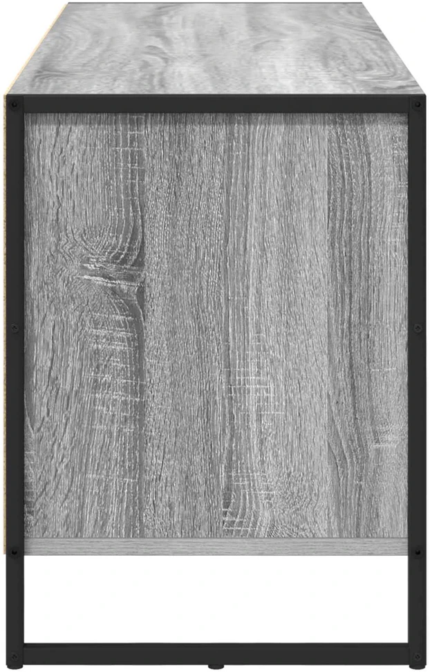 TV staliukas Televizoriaus spintelė 100 x 36 x 49.5 cm Pilkas Sonoma