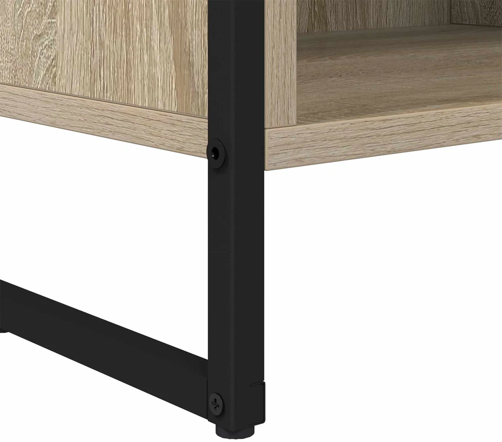 TV staliukas Televizoriaus spintelė 100 x 36.5 x 30.5 cm Sonoma