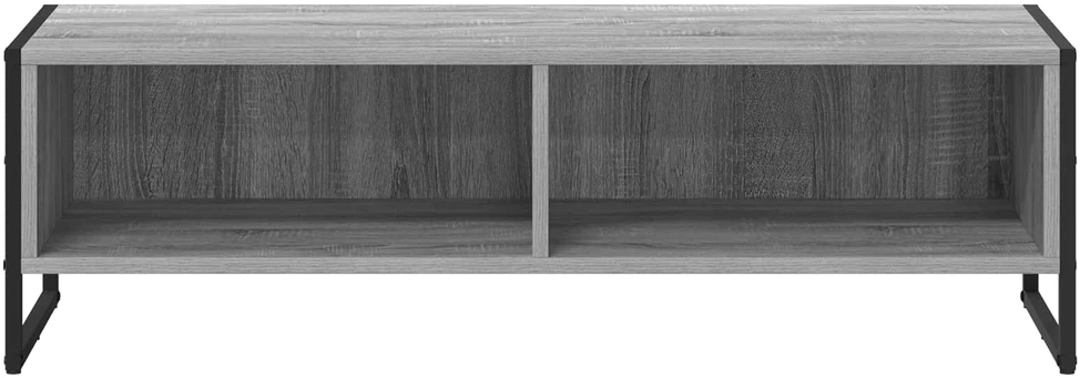TV staliukas Televizoriaus spintelė 100 x 36.5 x 30.5 cm Pilkas Sonoma