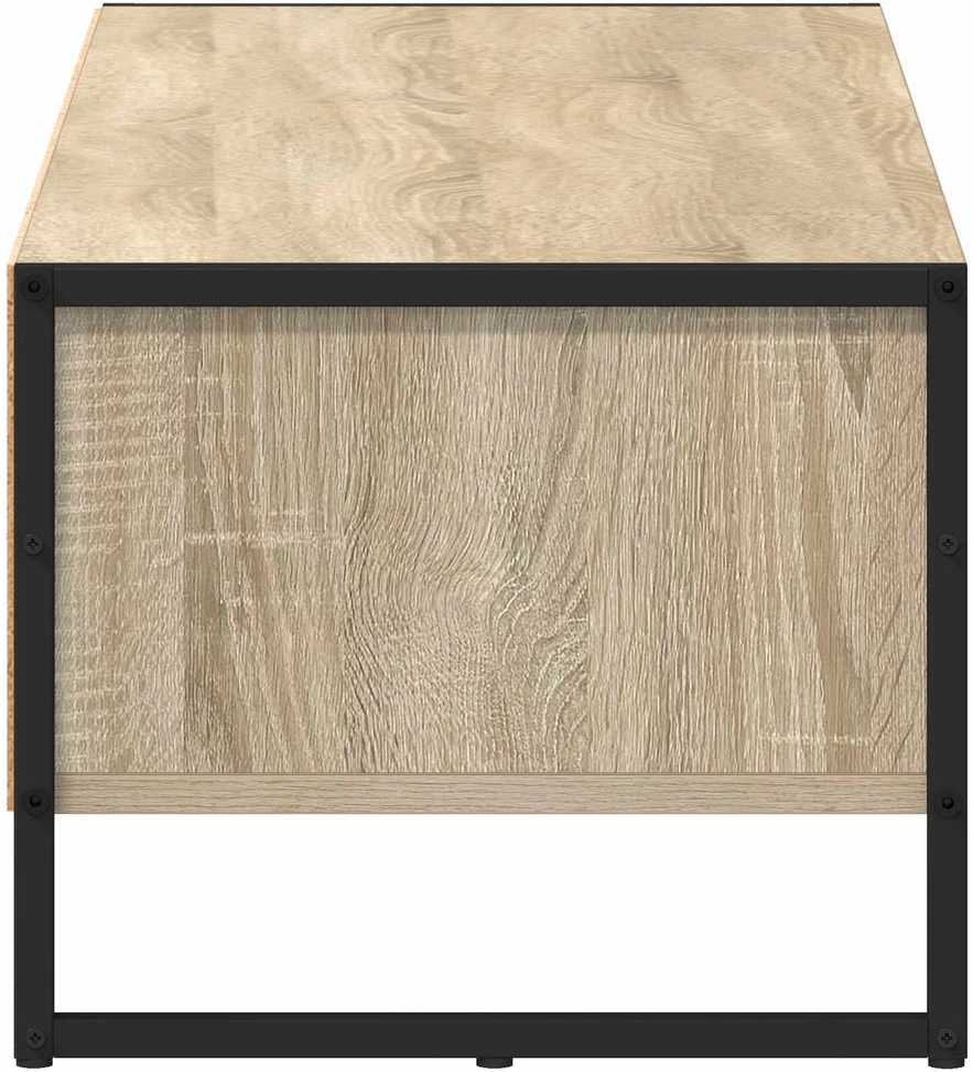 TV staliukas Televizoriaus spintelė 100 x 36.5 x 30.5 cm Sonoma