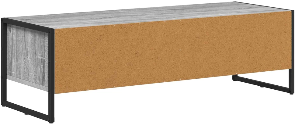 TV staliukas Televizoriaus spintelė 100 x 36.5 x 30.5 cm Pilkas Sonoma