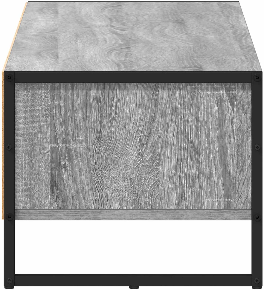 TV staliukas Televizoriaus spintelė 100 x 36.5 x 30.5 cm Pilkas Sonoma