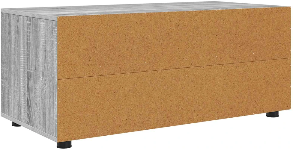 TV staliukas Televizoriaus spintelė 100 x 48 x 43 cm Pilkas Sonoma