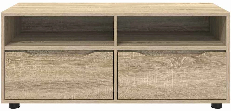 TV staliukas Televizoriaus spintelė 100 x 48 x 43 cm Sonoma ąžuolas