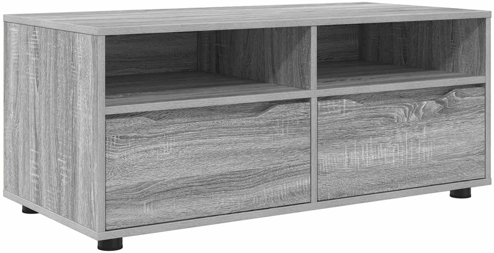 TV staliukas Televizoriaus spintelė 100 x 48 x 43 cm Pilkas Sonoma
