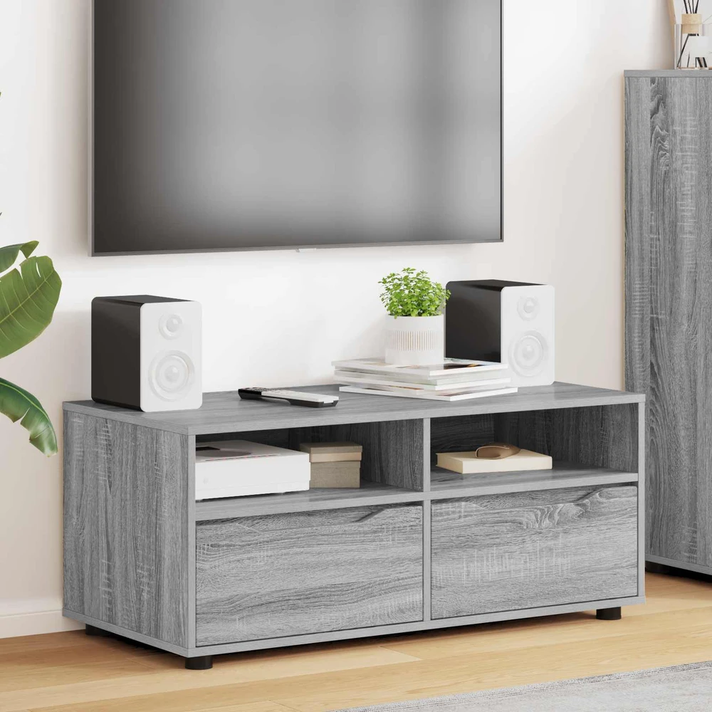 TV staliukas Televizoriaus spintelė 100 x 48 x 43 cm Pilkas Sonoma
