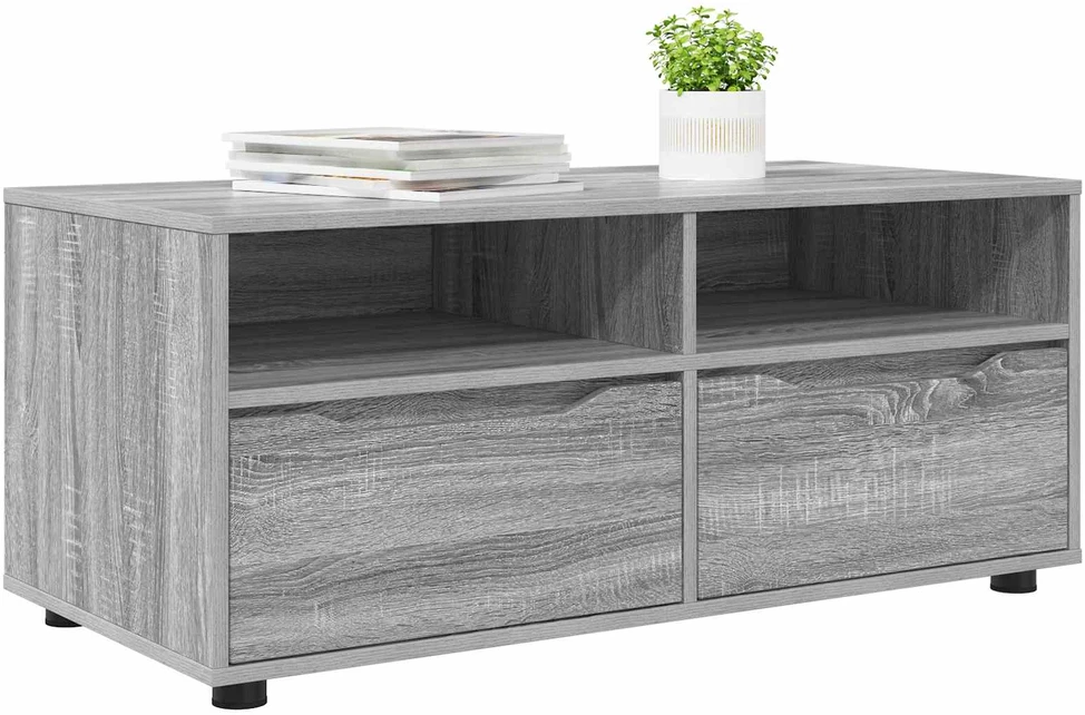 TV staliukas Televizoriaus spintelė 100 x 48 x 43 cm Pilkas Sonoma