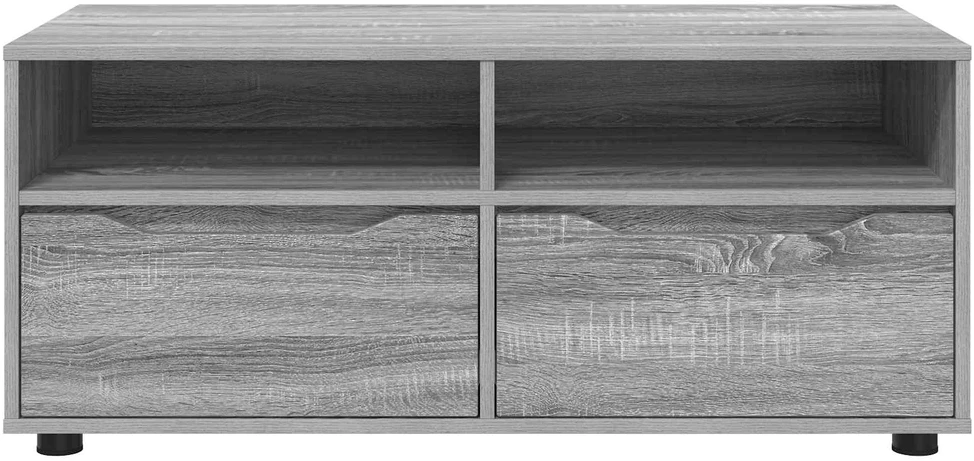 TV staliukas Televizoriaus spintelė 100 x 48 x 43 cm Pilkas Sonoma