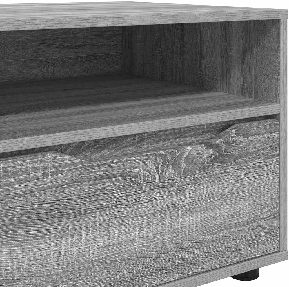 TV staliukas Televizoriaus spintelė 100 x 48 x 43 cm Pilkas Sonoma