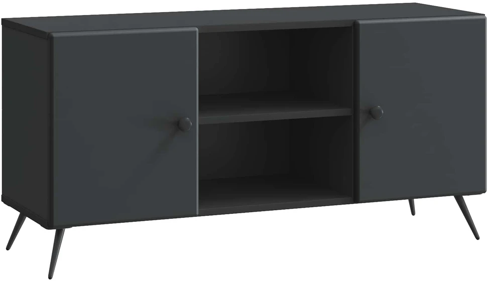 TV staliukas Televizoriaus spintelė 102 x 34,5 x 50 cm Juoda