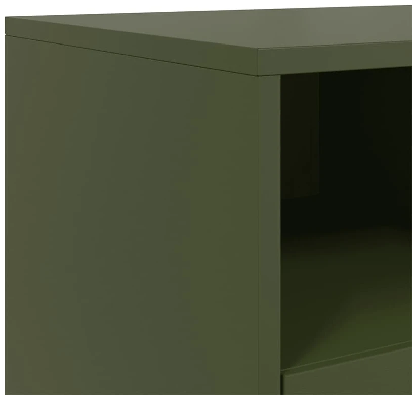 TV staliukas Televizoriaus spintelė, alyvuogių, 100,5x39x60,5cm, plienas