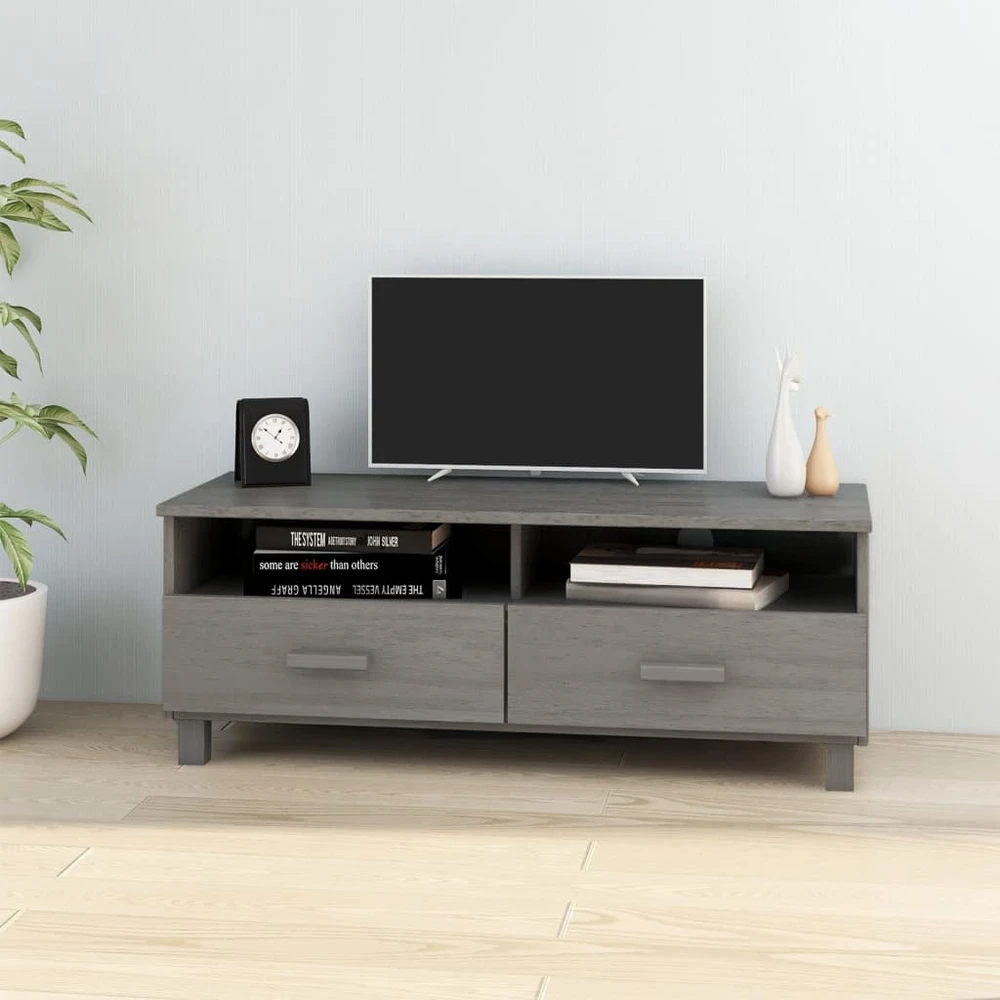 TV staliukas Televizoriaus spintelė HAMAR, pilka, 106x40x40cm, pušis