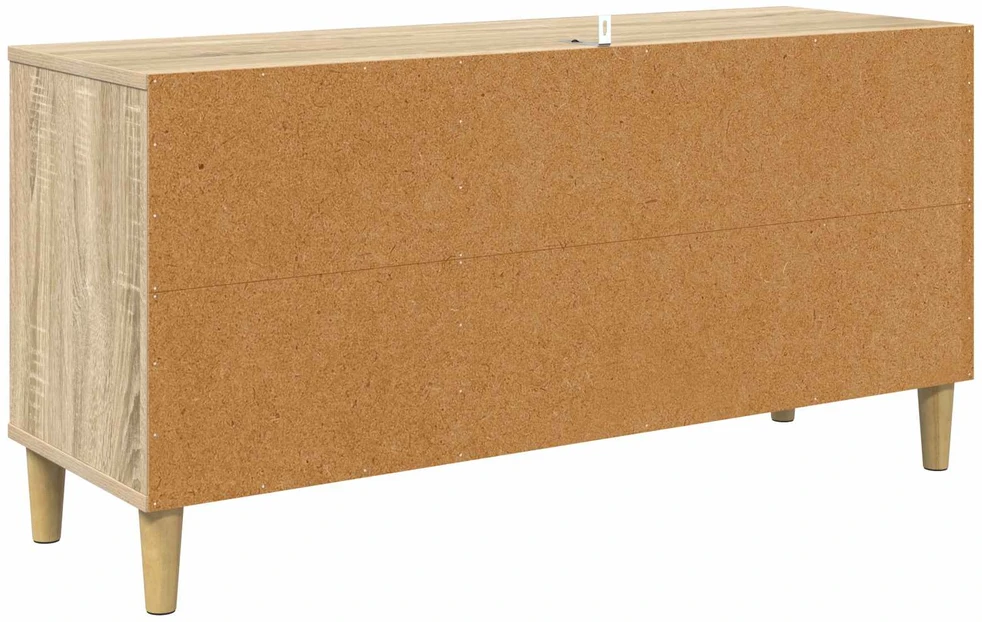 TV staliukas Televizoriaus spintelė RAALTE 102 x 33 x 50 cm Sonoma ąžuolo