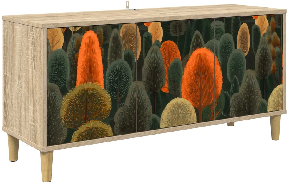 TV staliukas Televizoriaus spintelė ZAANDAM 102 x 33 x 50 cm Sonoma ąžuolo