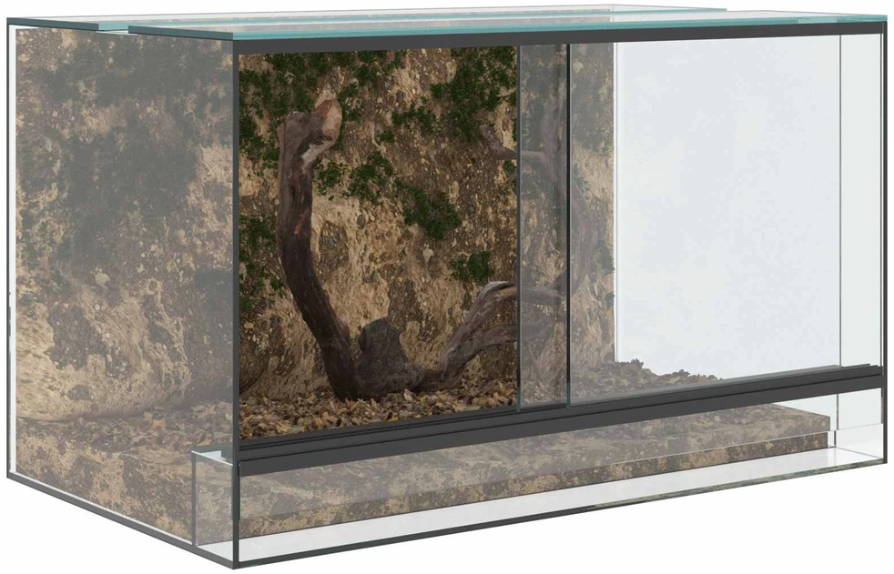 Terariumas su saugykla Skaidrus 50 x 30 x 30 cm Stiklas