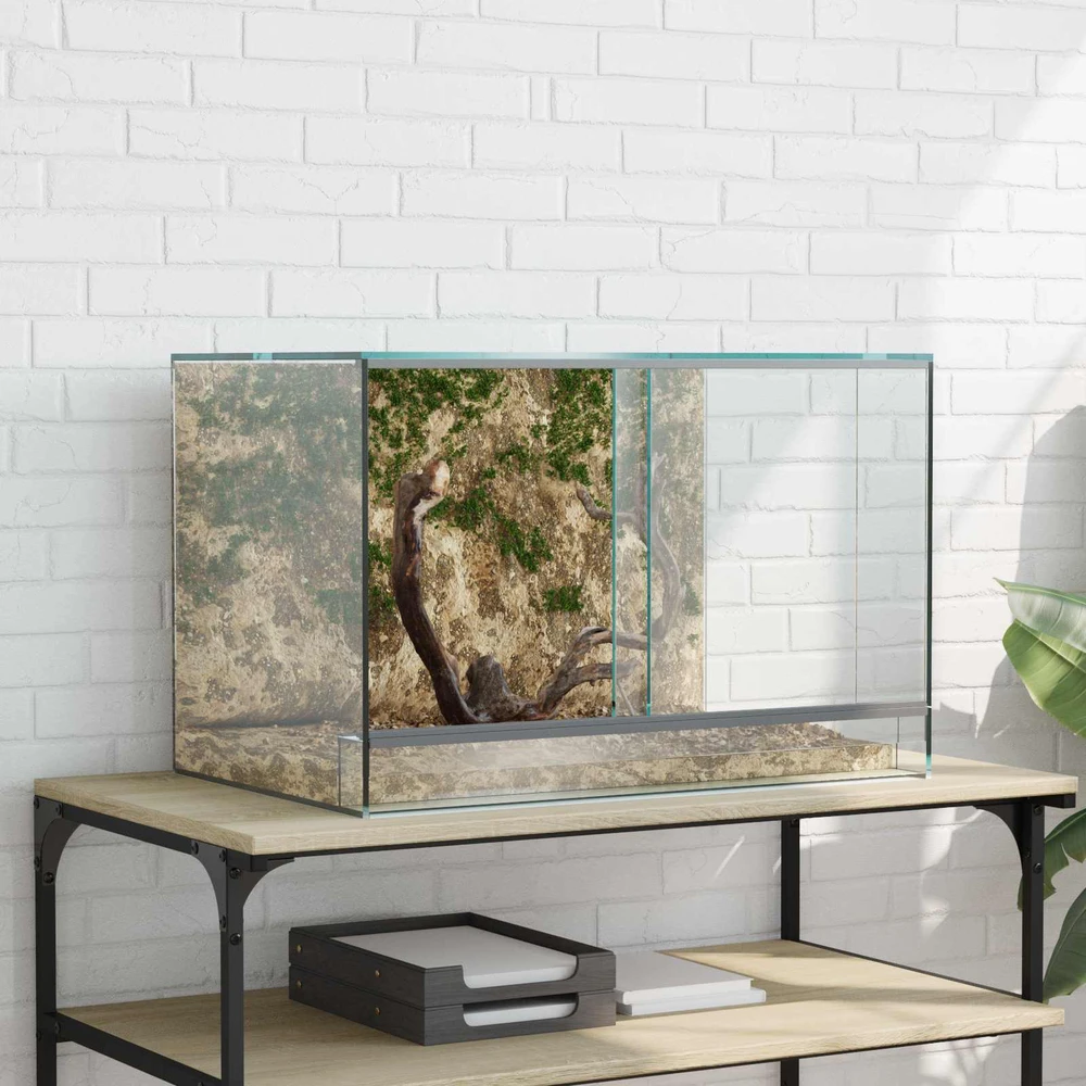 Terariumas su saugykla Skaidrus 60 x 40 x 40 cm Stiklas